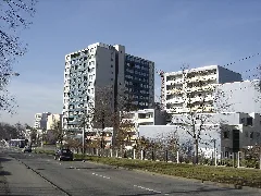 Freiburg Weingarten 3