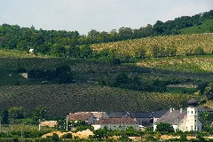 Freigut Thallern
