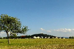 Freiolsheim Mit Blick Zum Mahlberg Panoramio