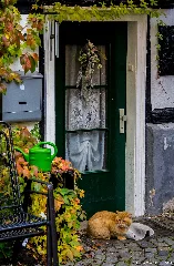 Freudenberg, Alter Flecken (12743224394)