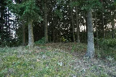 Friedberg Ehrenschachen Grabhuegel Oberwaldbauern