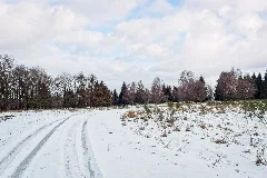 Friedewalder Höhe