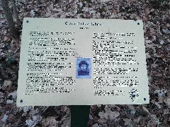 Friedhof Der Gemeinde Rahnsdorf Wilhelmshagen Dez.2016 2
