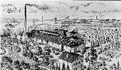 Friedrich Witte Fabrik