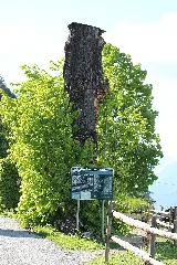 Friedrichslinde