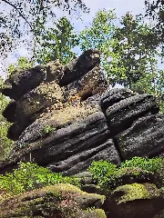 Frosch Saxon Switzerland (Hdr)