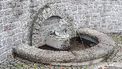 Frosch Wasserspiel In Vielau