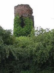 Froschscharp