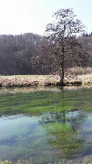 Frühling Im Eselsburger Tal, Deutschland