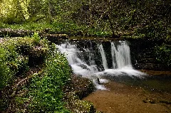 Frühling In Der Gauchachschlucht 06 Nsg Wutachschlucht 20170524