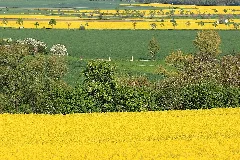 Frühlingslandschaft Im Naturpark Saale Unstrut Triasland..2H1A0265Ве