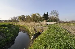 Fuchsbach Lambsheim Brückelgraben