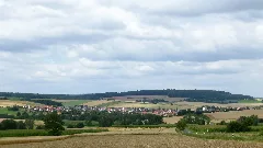 Fuchsberg Nesselroeden