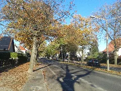 Fürstenwalde, Johann Sebastian Bach Straße Okt 2014