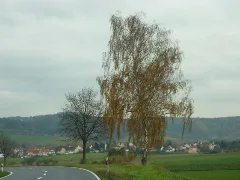 Fuldatal Bei Heinebach Geo.hlipp.de 6590