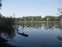 Galgenteichlt1