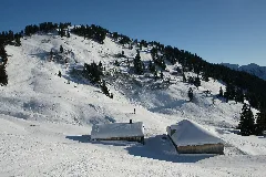 Gapfohlalpen Mit Falben 1793M