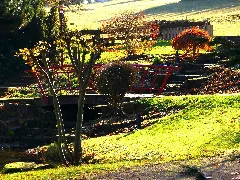 Garden Panoramio (15)