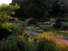Garten Ohne Grenzen Dagstuhl