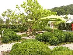 Gartengestaltung In Grün Auf Der Landesgartenschau Hemer 2010