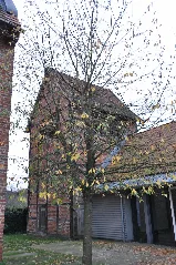Gartow Glockenturm
