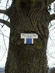 Gauangelloch Europäischer Fernwanderweg E5