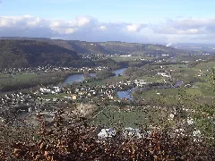 Gebenstorf Vogelsang