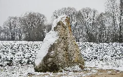 Gedenkstein Neben Der Landebahn Des Flughafens Stuttgart, Und Gott Sprach, Es Lasse Die Erde Aufgehen Gras Und Kraut Moses Panoramio