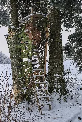 Gehrenberg 7617