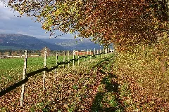 Gehrenberg