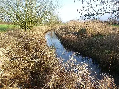 Geilenbek 1