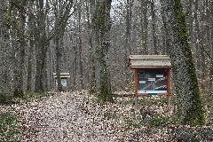 Geisenheim Co2 Lehrpfad (1 03.2015)