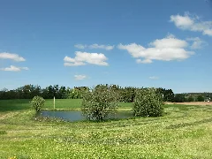 Gemarkung Wüstenselbitz