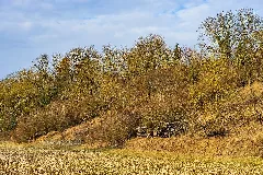 Gemmingen Stebbach Stebbach Tal Hänge Im Mittleren Seeberg