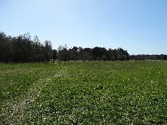 Geplantes Naturschutzgebiet Binnenduenen Nordoe Dsc01699