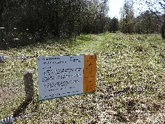 Geplantes Naturschutzgebiet Binnenduenen Nordoe Dsc01700