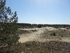 Geplantes Naturschutzgebiet Binnenduenen Nordoe Dsc01709