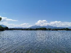 Ger — By — Landkreis Traunstein – Übersee – Feldwieser Bucht (Campingplatz Rödlgries) Mattes 2020 06 01