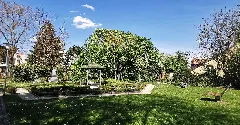 Ger — By — Oberbayern — Landkreis Neuburg Schrobenhausen — Neuburg An Der Donau — Franziskanerstraße (Kräutergarten ) — 2025 04 20 Mattes 2019