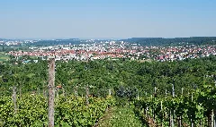 Gerlingen Panorama Forchenrainstraße