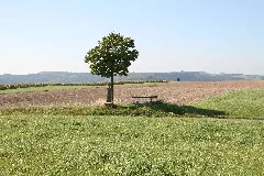 Germany Bauler Kläschen 01