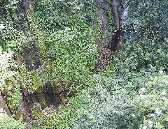 Geschützter Landschaftsteil Glocke In Finkenberg 01