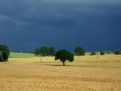 Gewitter Am Diedrichshagener Berg