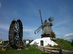 Gifhorn Mühlenmuseum, Holländer Windmühle Und Wasserrad