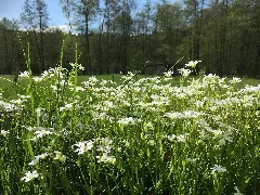 Glashütten Im Hochtaunus