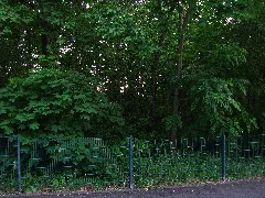Glb 611.001,Lindenberg Alte Sandgrube Mit Eichen Kiefer Mischwald,2,Lindenberg,Kassel