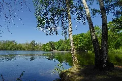 Glb Hs 08 Laher Teich Laher Wald
