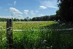 Glb Misburger Wald 01