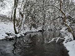 Glems Im Winter (3)