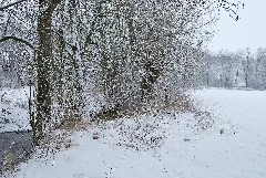 Glems Im Winter (4)